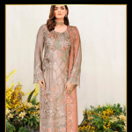 Authentic Chiffon Party Wear