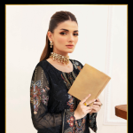 Authentic Chiffon Party Wear