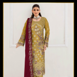 Authentic Chiffon Party Wear