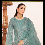 Authentic Chiffon Party Wear